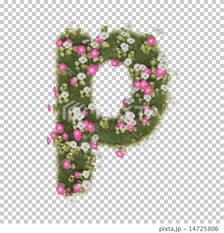 Alphabet of morning glory 14725806