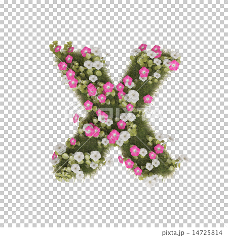 Alphabet of morning glory 14725814