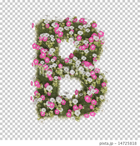 牽牛花字母表 牽牛花字母表 14725818