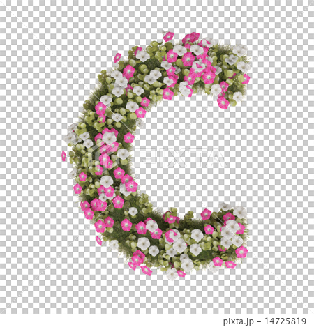 牽牛花字母表 牽牛花字母表 14725819