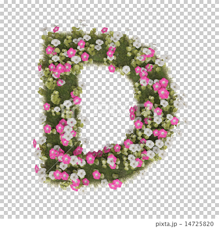 牽牛花字母表 14725820