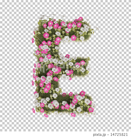 牽牛花字母表 牽牛花字母表 14725821