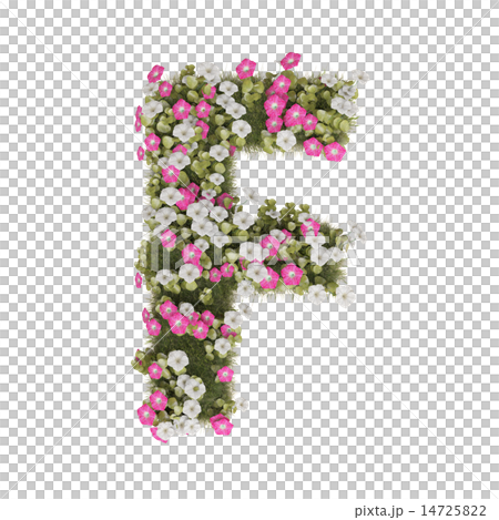 Alphabet of morning glory 14725822