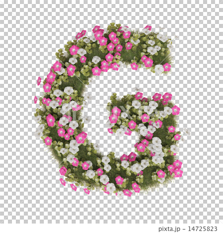 Alphabet of morning glory Alphabet of morning glory 14725823