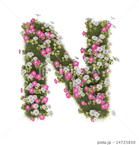 アサガオのアルファベット 14725830