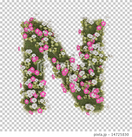 アサガオのアルファベット 14725830