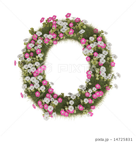 アサガオのアルファベット アサガオのアルファベット 14725831