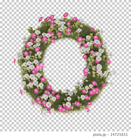 アサガオのアルファベット アサガオのアルファベット 14725831