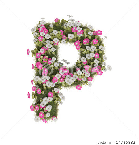 アサガオのアルファベット 14725832