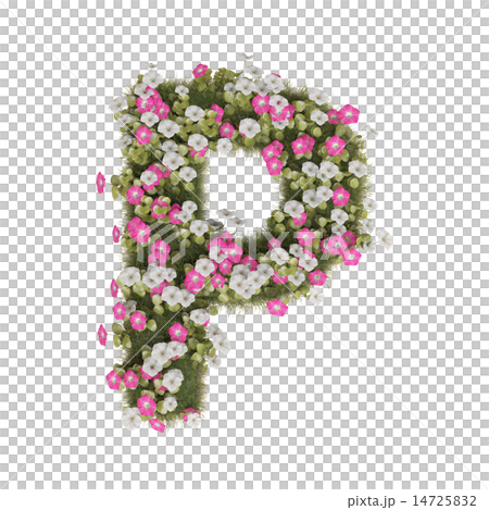 アサガオのアルファベット 14725832