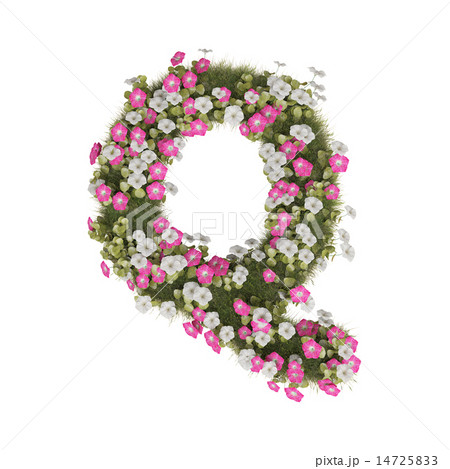 アサガオのアルファベット 14725833