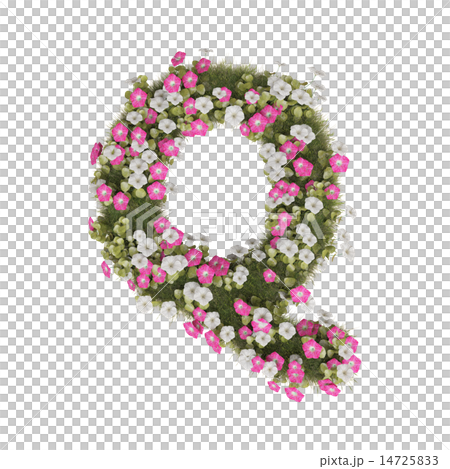 Alphabet of morning glory Alphabet of morning glory 14725833