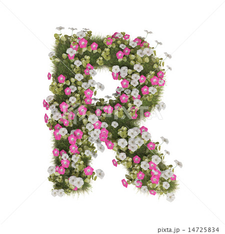 アサガオのアルファベット 14725834