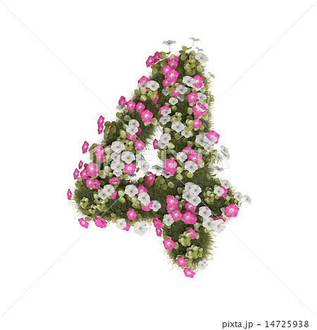 アサガオの数字 14725938