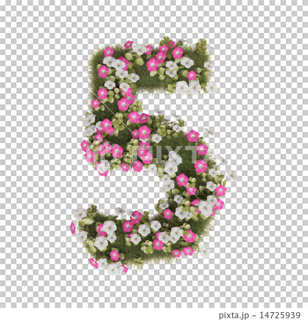 アサガオの数字 14725939