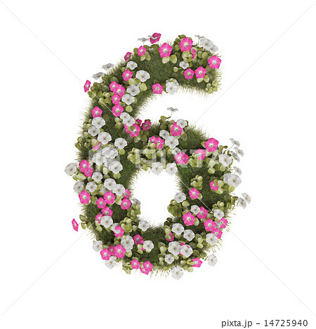 アサガオの数字 14725940