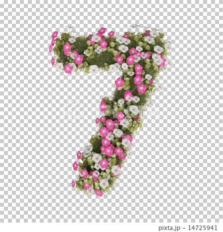 牽牛花數字 14725941