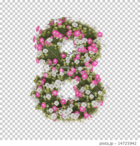 牽牛花數字 14725942