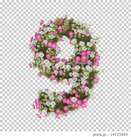 牽牛花數字 14725943