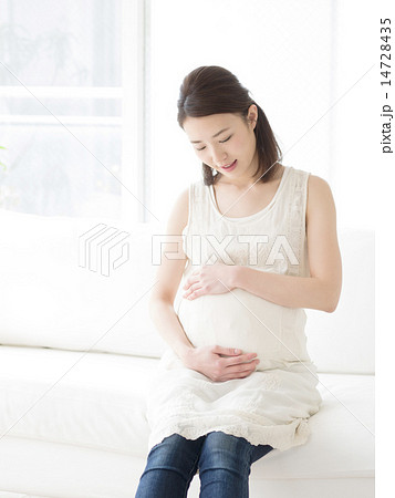 若い妊婦 14728435