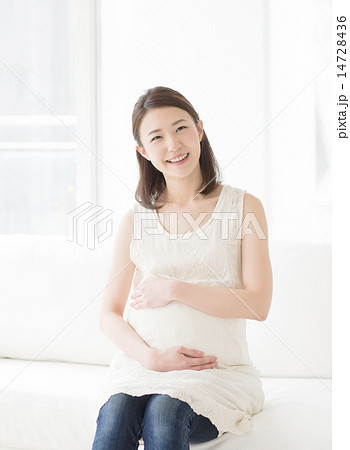 若い妊婦 14728436