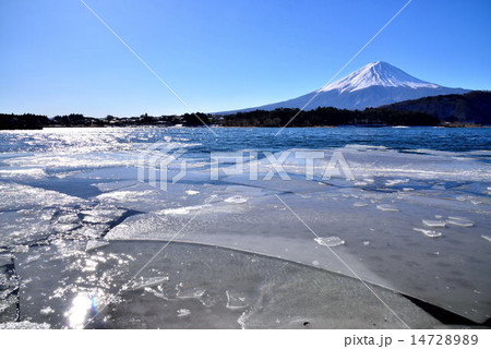 冬の河口湖 14728989