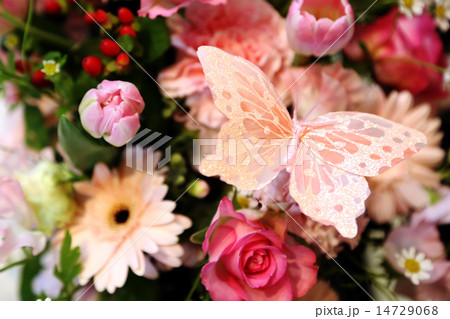 いろんな花3 14729068