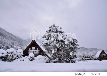 雪の白川郷 14729108