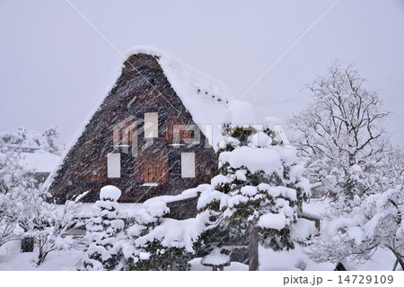 雪の白川郷 14729109