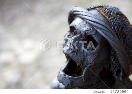 パプアのミイラ パプアのミイラ 14729694