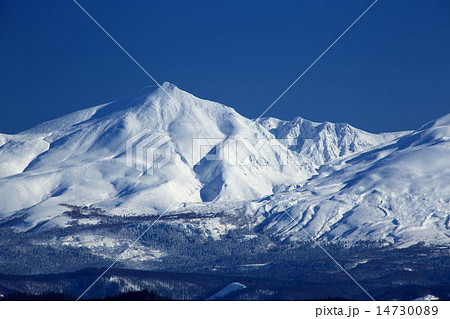 冬の美瑛 14730089
