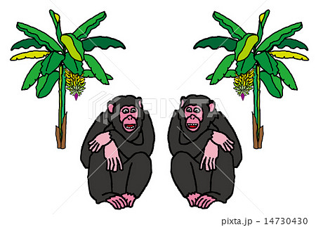 猿のイラストの16年申年年賀状素材とバナナの木とバナナの実のイラスト素材