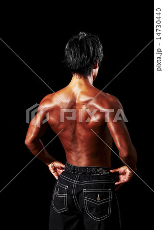 男性アスリートの筋肉 男性アスリートの筋肉 14730440