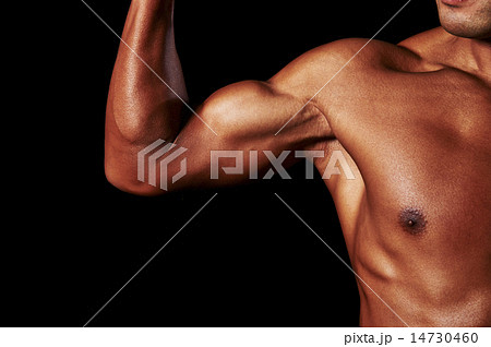 男性アスリートの筋肉 14730460