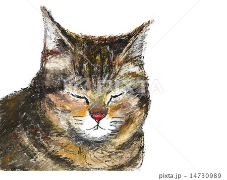 猫の顔のイラスト素材