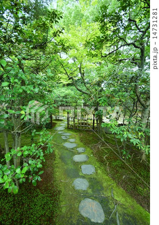 苔寺の道 14731281