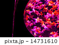 金魚 14731610