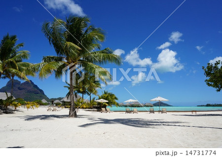 ボラボラ島 ボラボラパールビーチ&スパ ボラボラ島 ボラボラパールビーチ&スパ 14731774