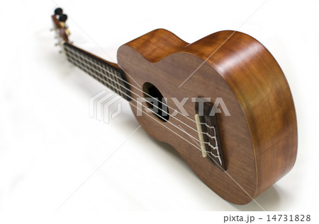 Ukulele isolated on white background Ukulele isolated on white background 14731828