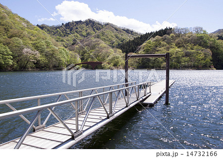 碓氷湖桟橋 碓氷湖桟橋 14732166