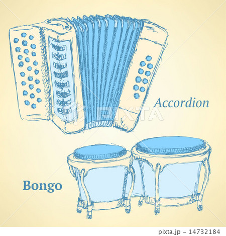 Sketch bongos and accordion in vintage style 14732184