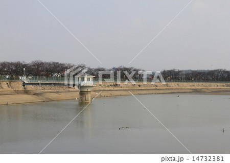 大阪岸和田市の久米田池 14732381