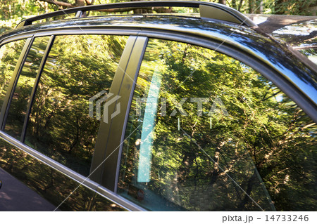 Reflection of seasonal trees in the car window Reflection of seasonal trees in the car window 14733246