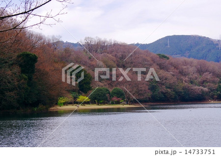 伊豆一碧湖 14733751