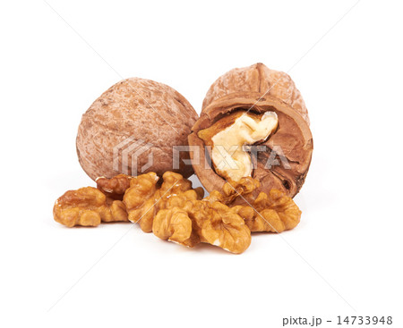 walnuts walnuts 14733948