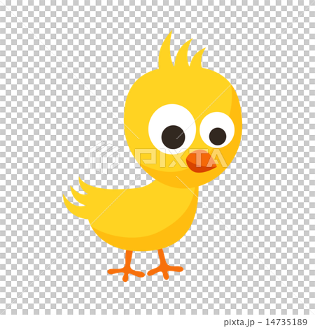 Small Chick Small Chick 14735189