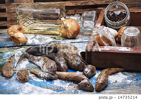 catch fish breed like in the metal plate  14735214