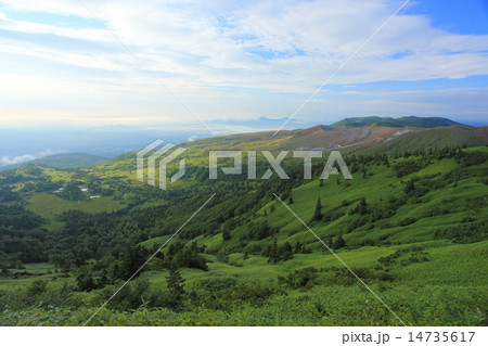 芳ヶ平湿原 白根山 芳ヶ平湿原 白根山 14735617