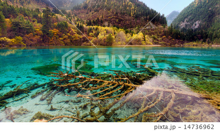 Jiuzhaigou National Park,Sichuan China 14736962