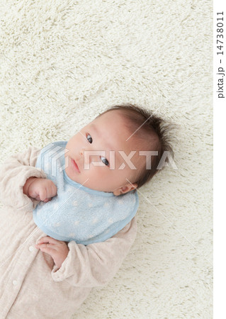 2 months old 2 months old 14738011